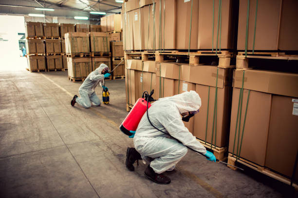 Best Ant Control Services  in Greenlawn, NY