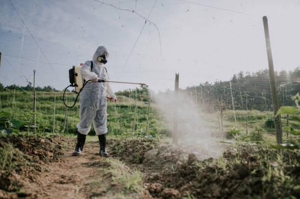 Best Commercial Pest Control Services  in Greenlawn, NY