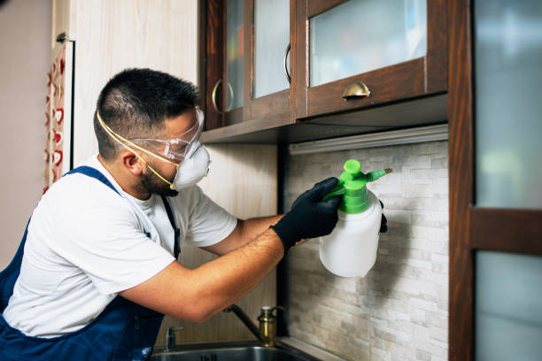 Best Residential Pest Control  in Greenlawn, NY