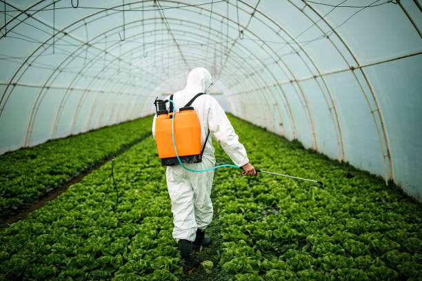 Best Local Pest Control Services  in Greenlawn, NY