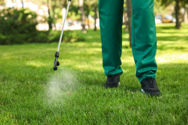 Best Pest Control Treatment  in Greenlawn, NY
