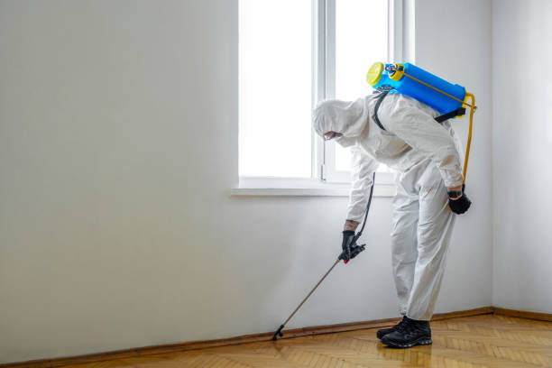 Best Pest Prevention Services  in Greenlawn, NY