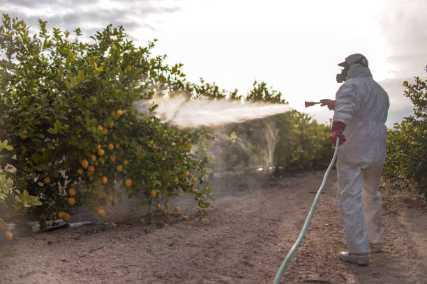 Best Pest Control Near Me  in Greenlawn, NY