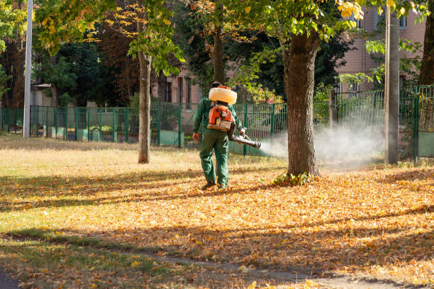 Best Termite Control Services  in Greenlawn, NY