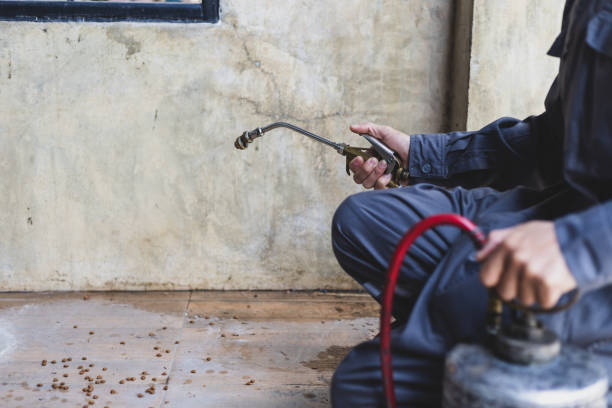 Best Best Pest Control Companies  in Greenlawn, NY